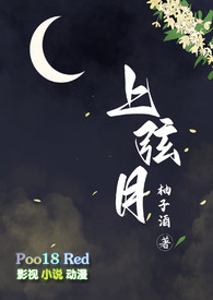 上弦之月 小说封面
